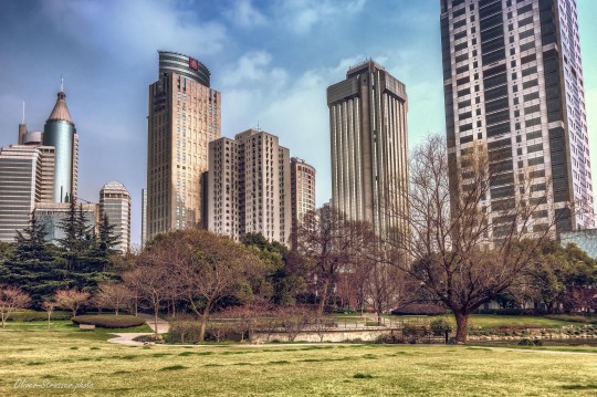 Shanghai City Skyline 